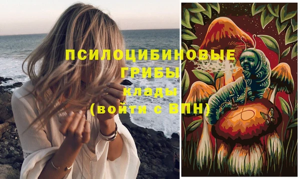 PSILOCYBIN Болхов