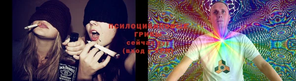 винт Нея