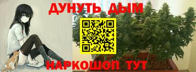 индика Волжский