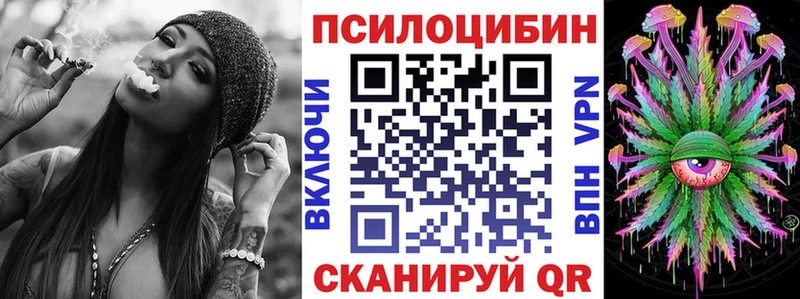 как найти   Мурманск  darknet состав  Псилоцибиновые грибы мицелий 