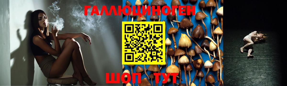 Галлюциногенные грибы Cubensis Мурманск
